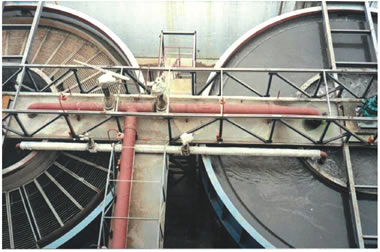 ��ЧŨ����